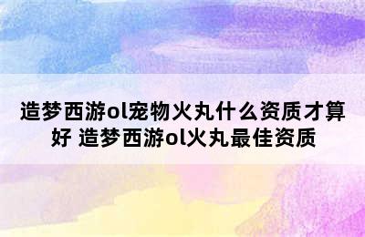 造梦西游ol宠物火丸什么资质才算好 造梦西游ol火丸最佳资质